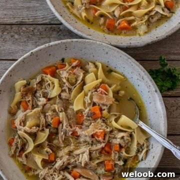 Two bowls of chicken noodle soup