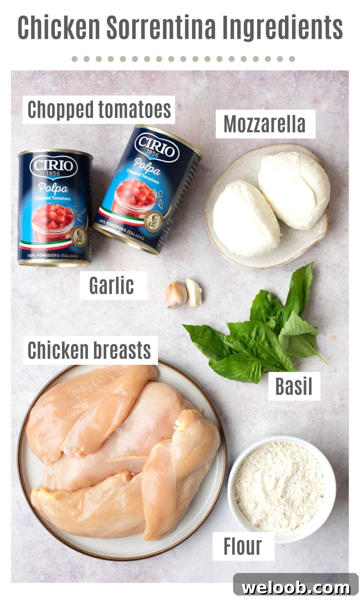 An overhead shot of all the ingredients you need to make chicken sorrentina
