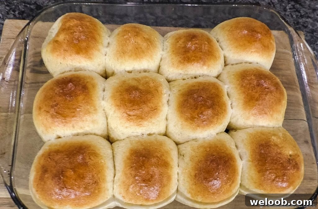 freshly baked golden brown dinner rolls in a baking dish