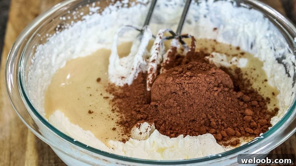 Cocoa powder added to bowl of whipped cream