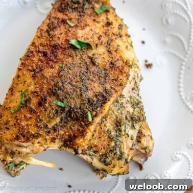 Square image of a roasted turkey thigh.