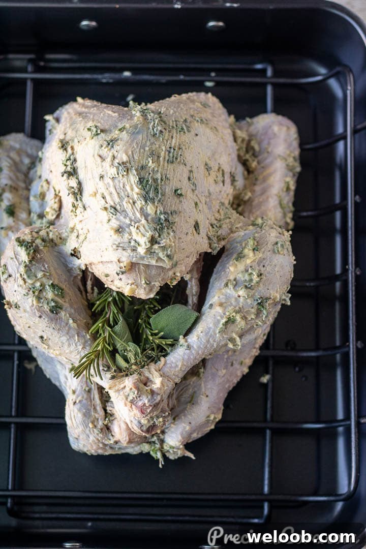 Turkey rubbed with garlic herb butter.