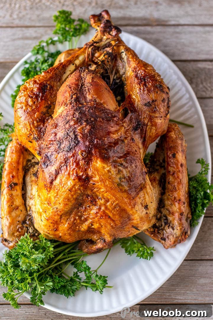 Whole herb roasted turkey on a platter.