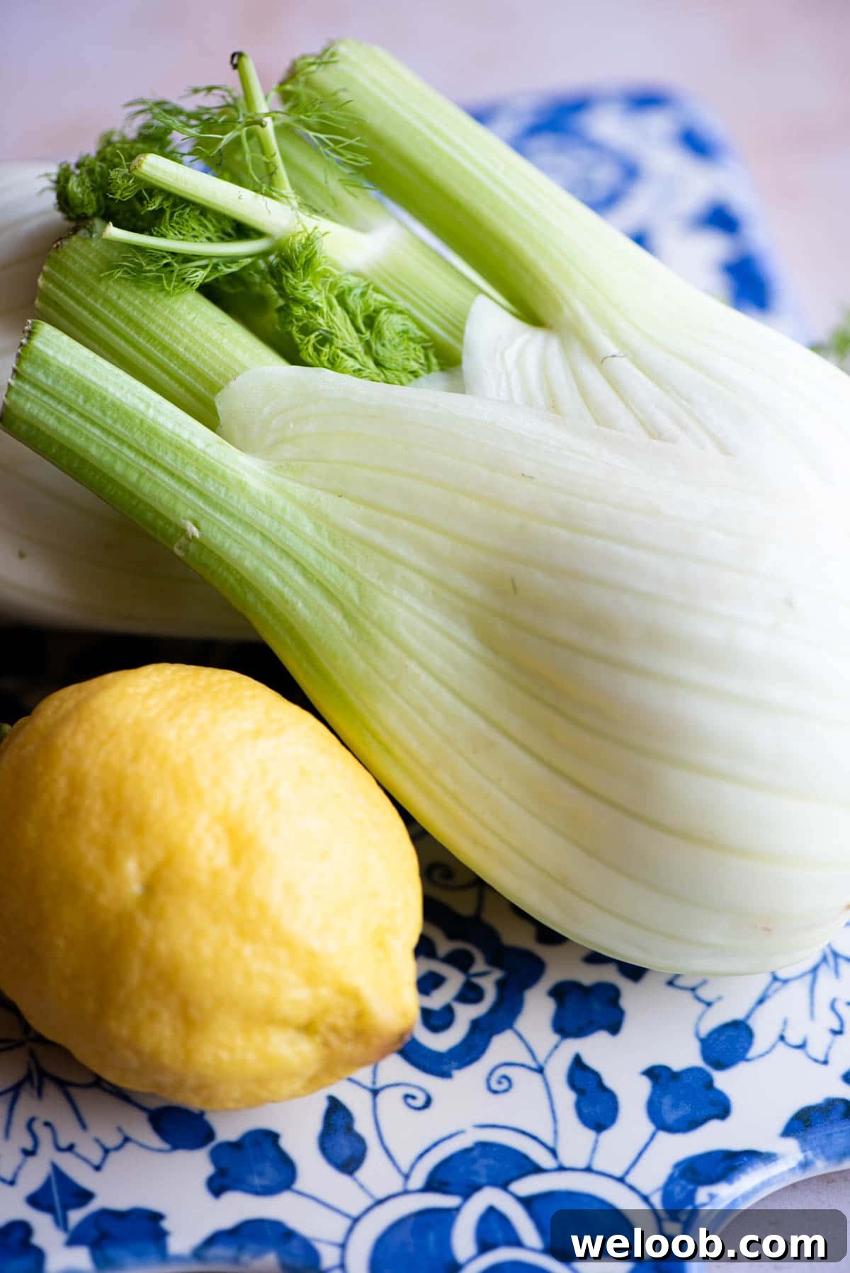 A close up of a fennel bulb and whole lemon
