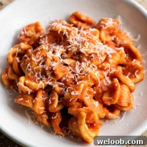 A close up of orecchiette pasta with Nduja sugo in a bowl.