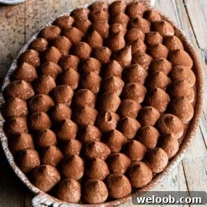 A square image of a chocolate tiramisu in an oval dish sitting on a rustic wooden background.
