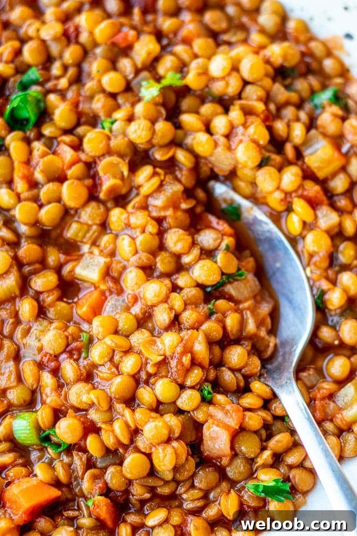 Spoon digging into a bowl of Lentil Stew.