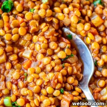 Spoon digging into a bowl of Lentil Stew.
