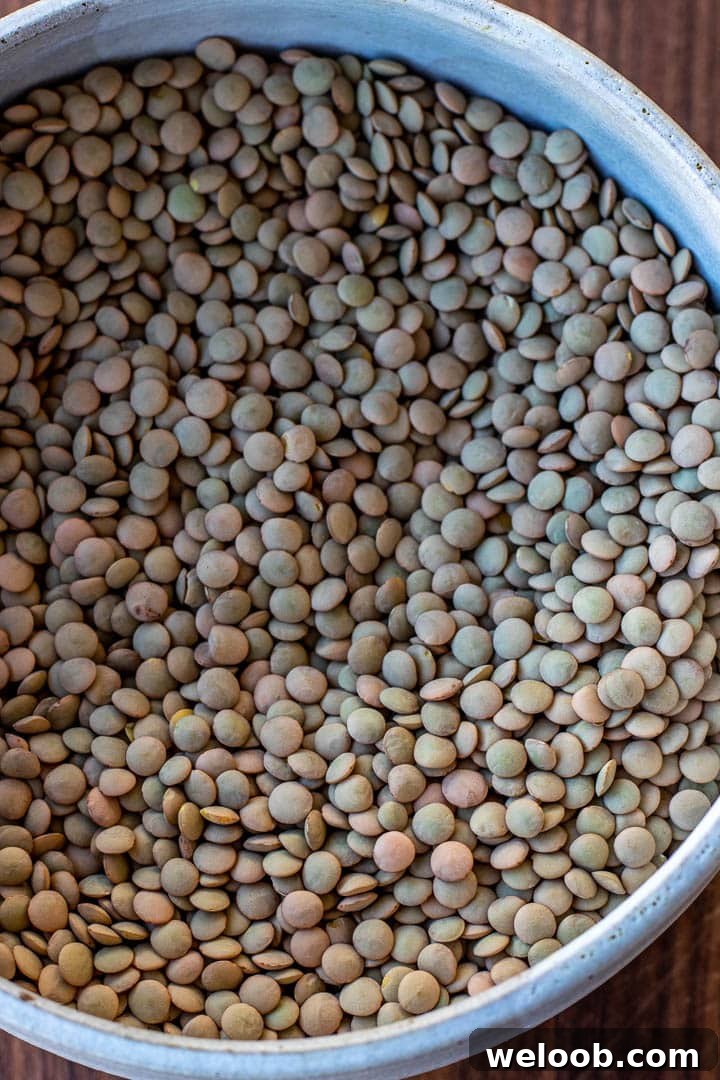 Green Lentils in a bowl.