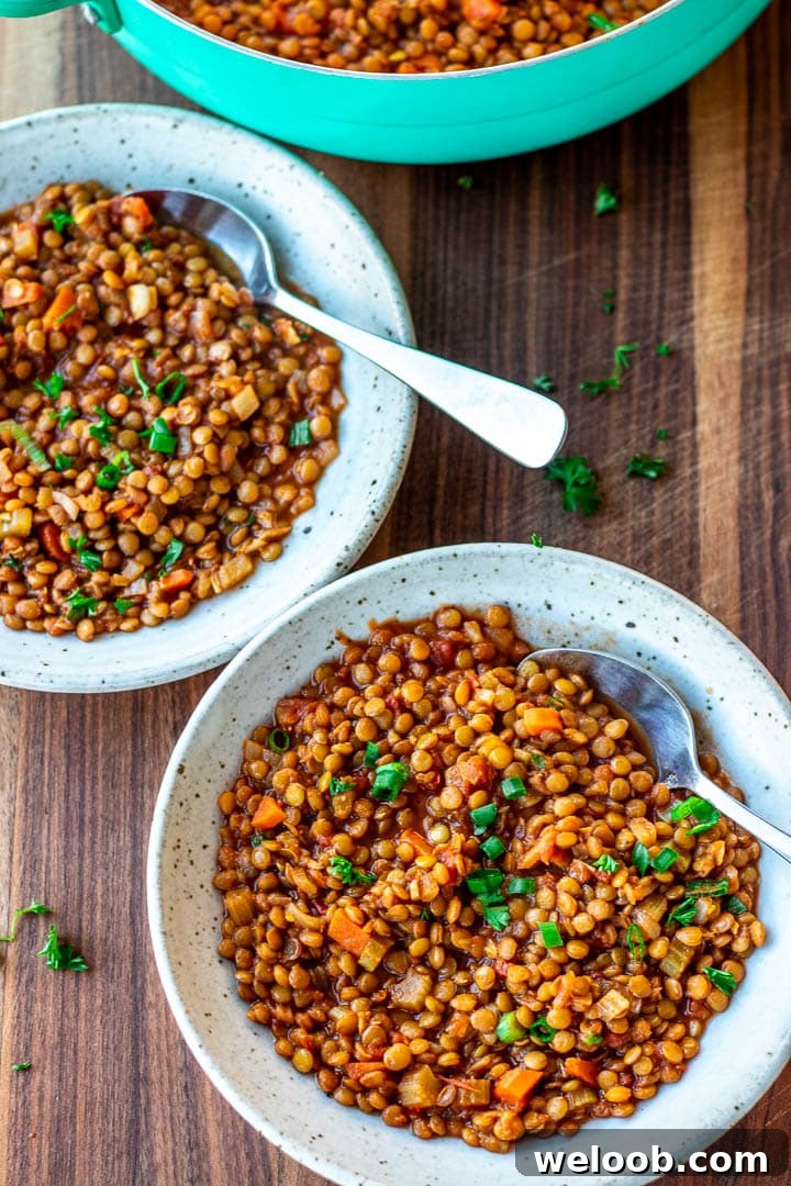Two bowls of Lentil Stew.