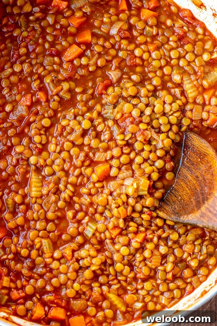 Cooked Lentil Stew in pot
