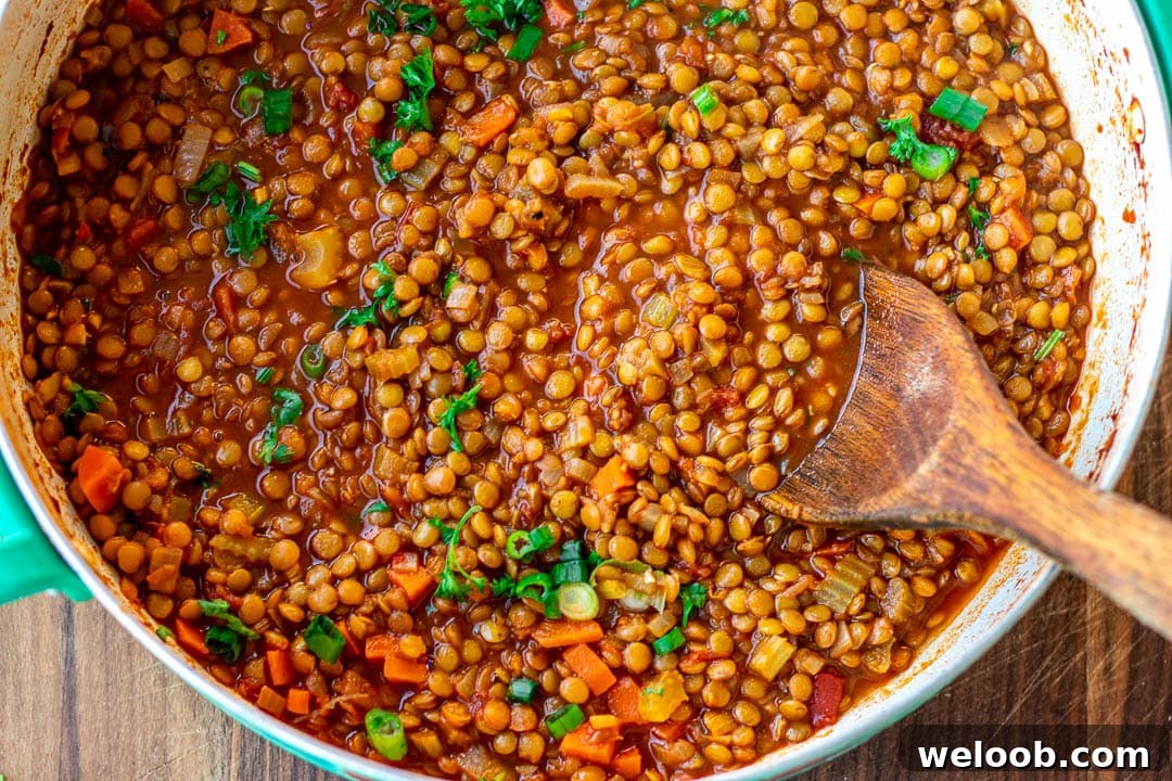 Landscape photo of garnished Lentil Stew