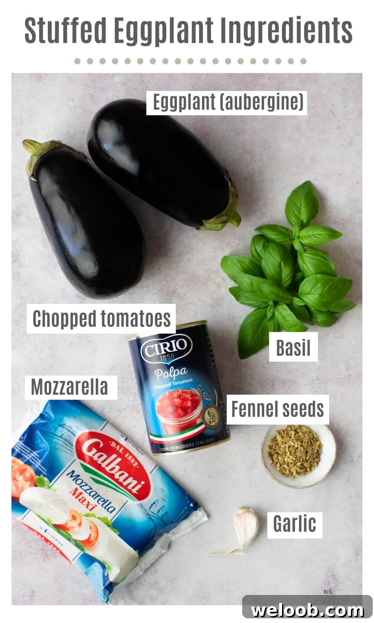 An overhead shot of ingredients; eggplants, fresh basil, chopped tomatoes, mozzarella, fennel seeds and garlic.