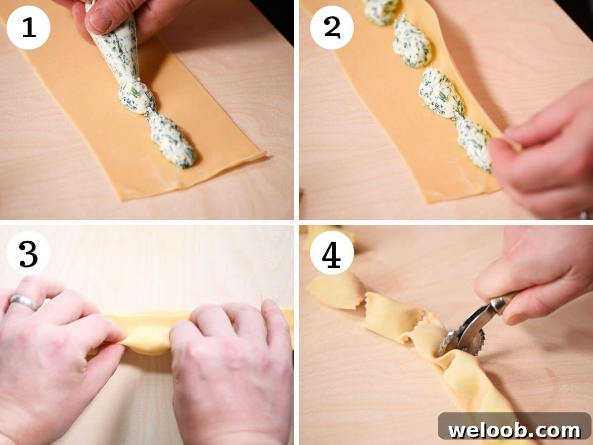 Four photos in a collage showing how to pipe the filling for Agnolotti in sections.