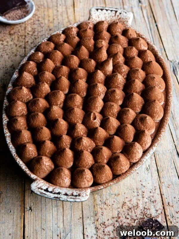 Chocolate tiramisu in an oval dish sitting on a rustic wooden background with pieces of chocolate at the side