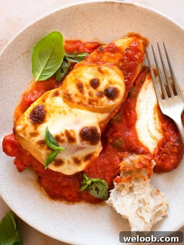 A close up of a piece of chicken pizzaola on a plate with crusty bread and basil leaves