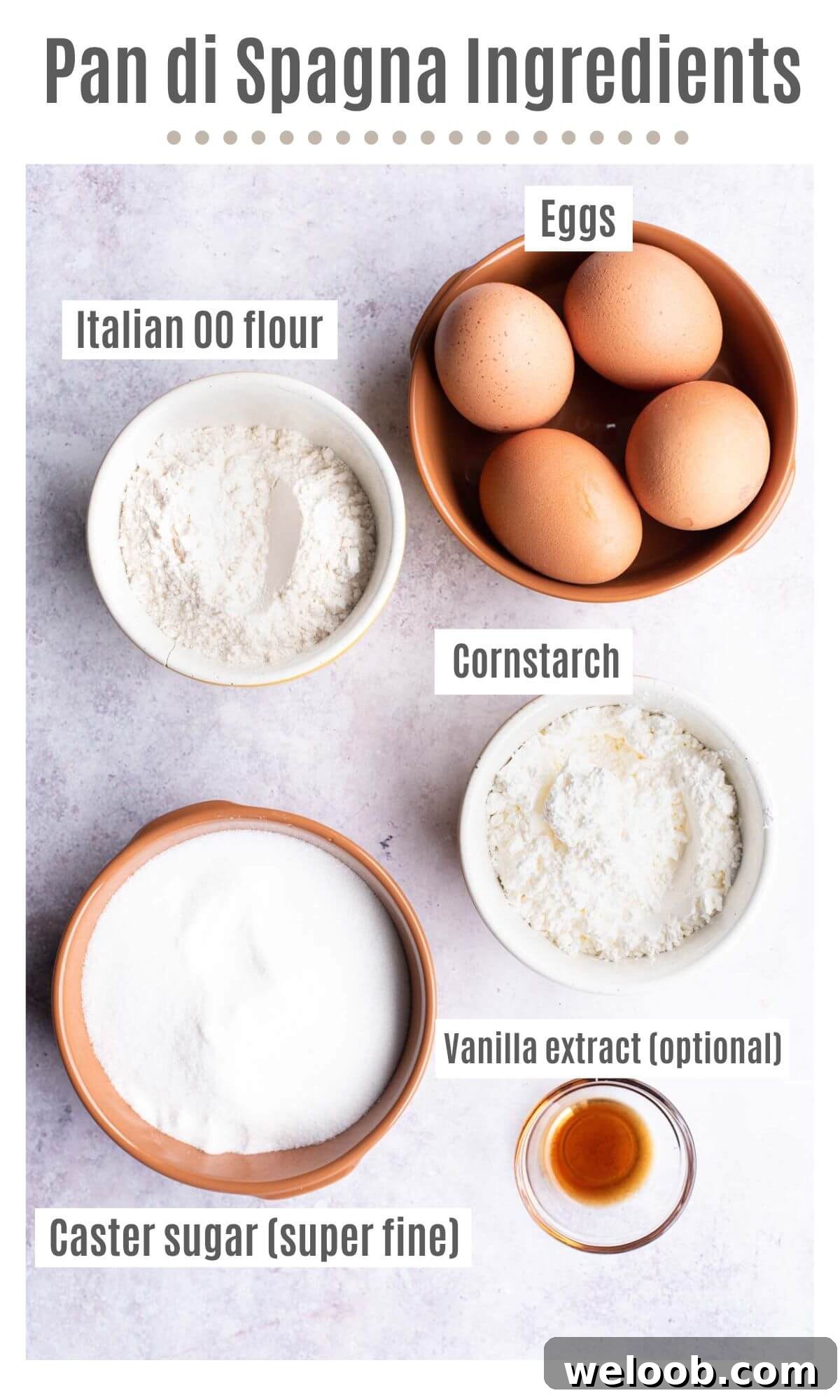 An overhead shot of labelled ingredients; eggs, cornstarch, Italian 00 flour, caster sugar and vanilla extract. 