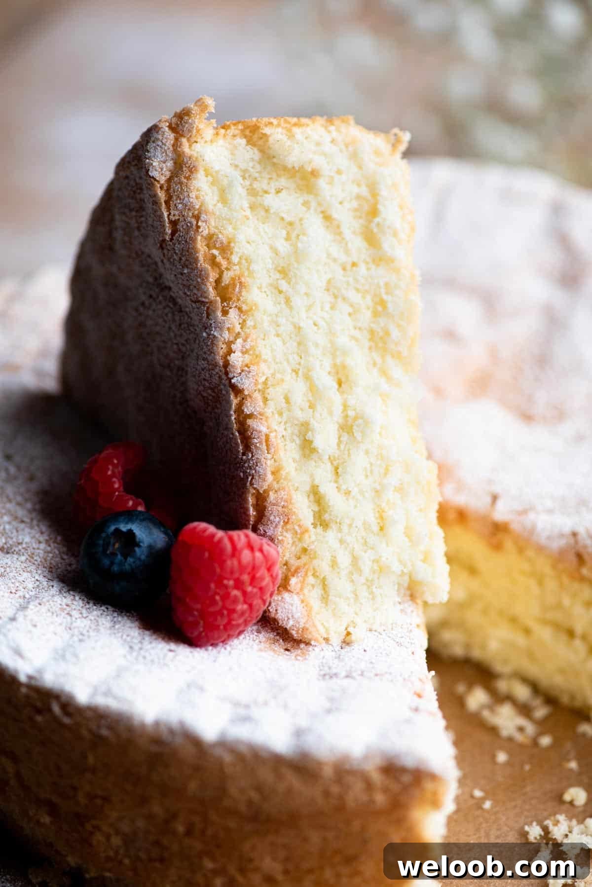 Close up of a slice of Italian Pan di Spagna sponge cake with berries at the side.