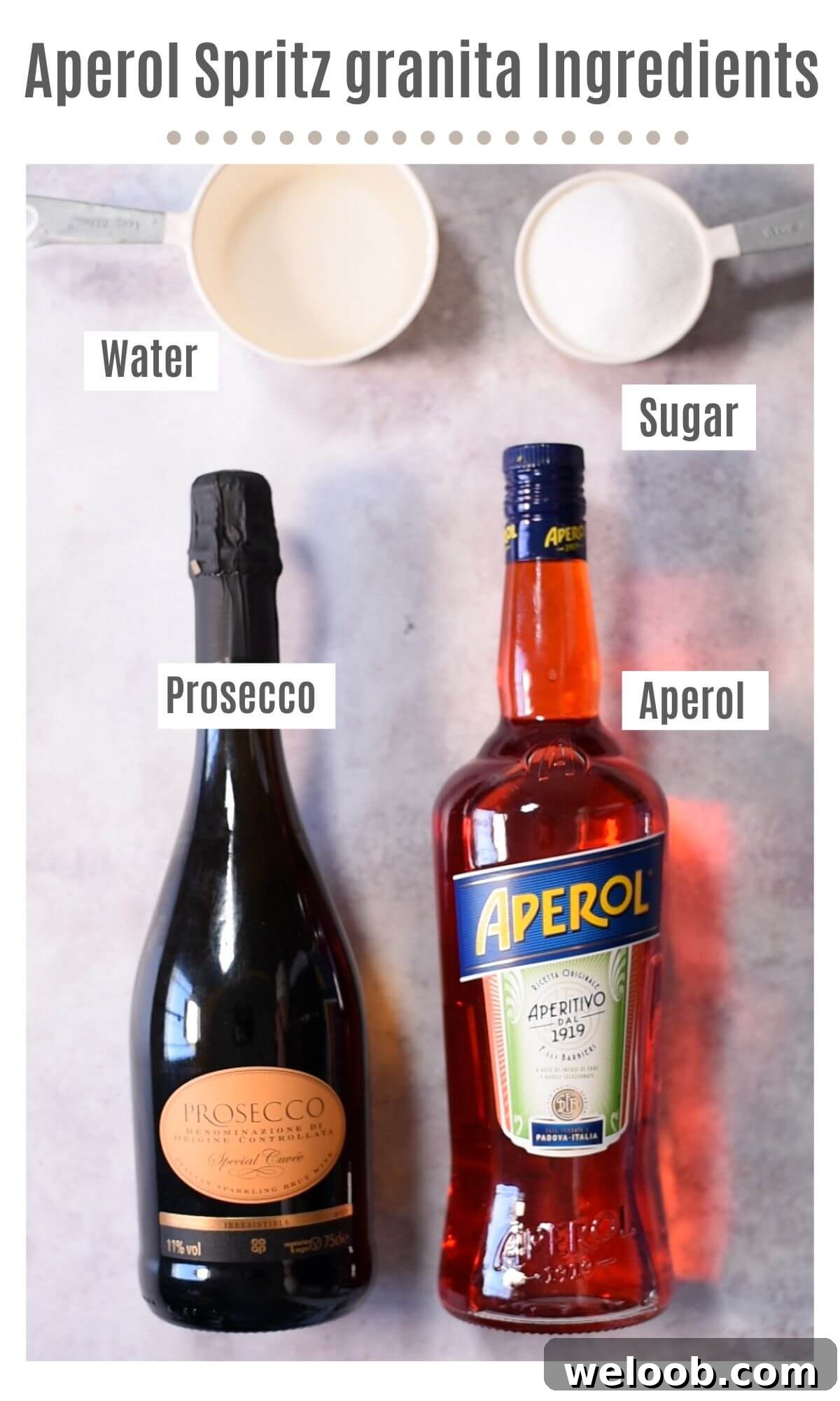 An overhead shot of all the ingredients you need to make Aperol Spritz granita.