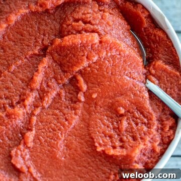 Big bowl of tomato paste