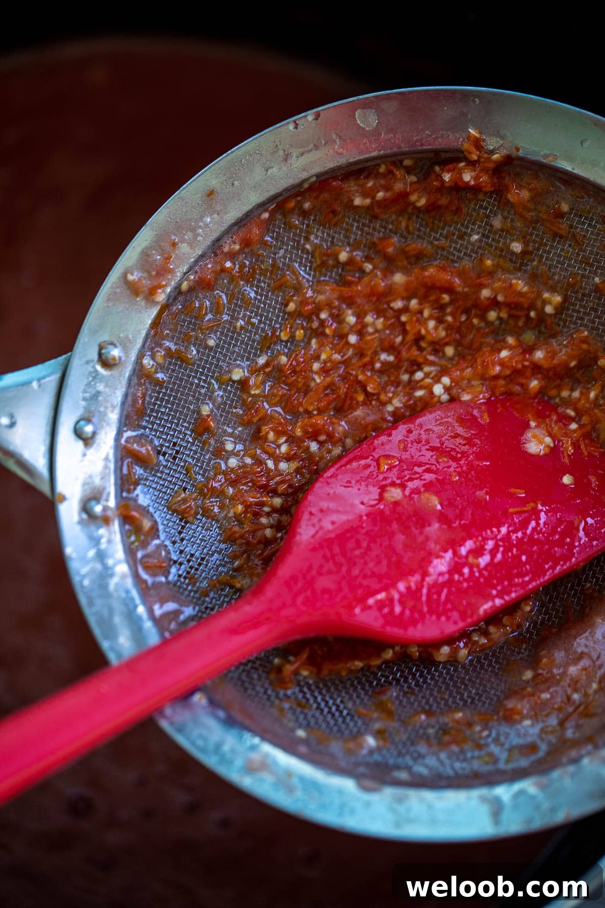 Tomato seeds in fine mesh sieve