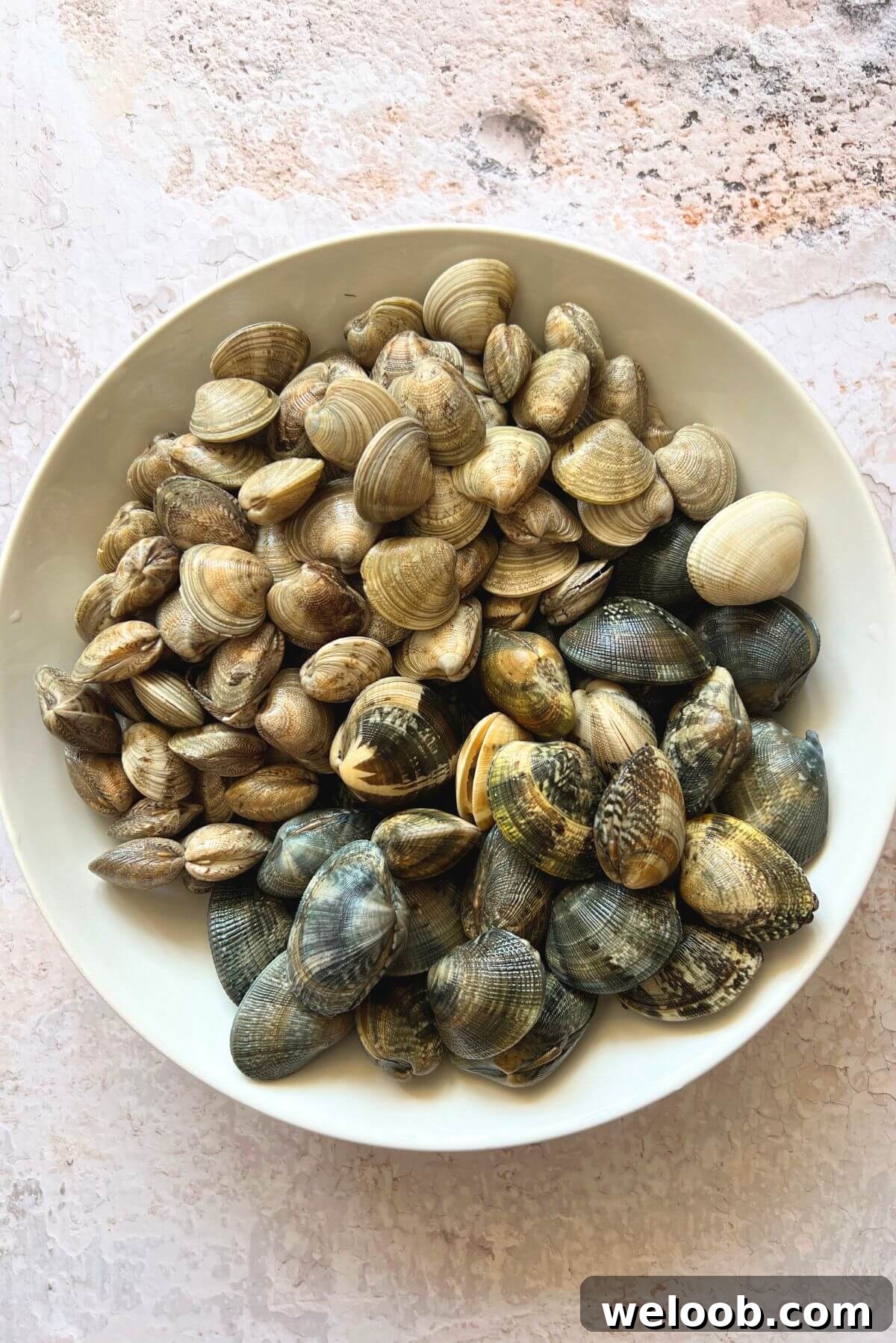 An overhead shot of a bowl of two different types of clams; Vongole Veraci and Vongole Lupini.