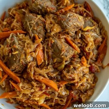 Bowl of Beef and Cabbage Stew
