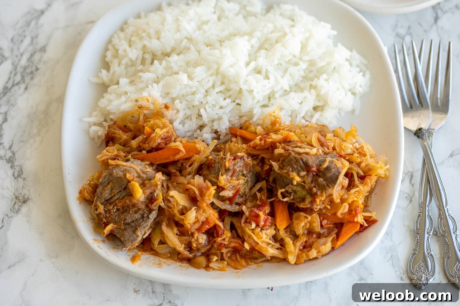 A plate of cabbage and beef stew with rice