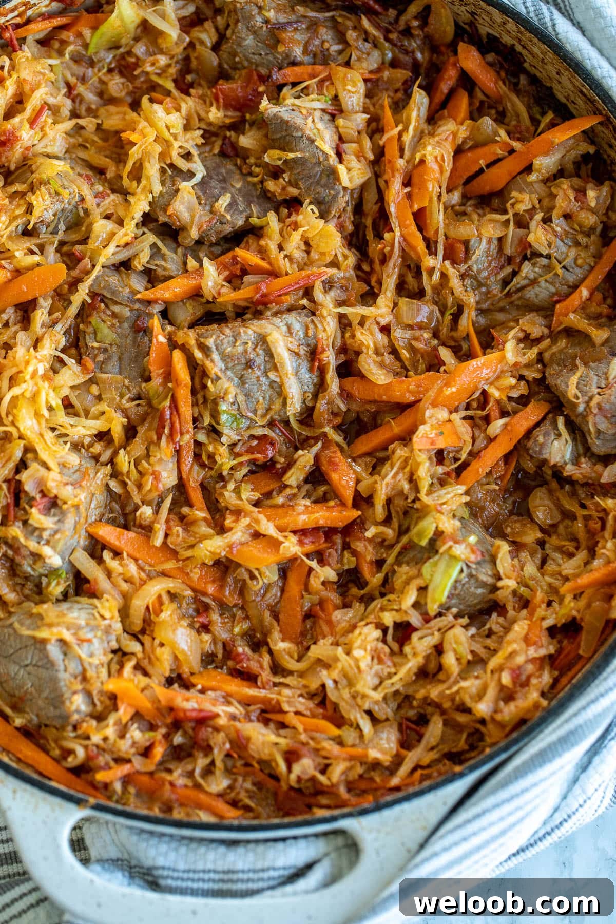 Pot of cabbage and beef stew