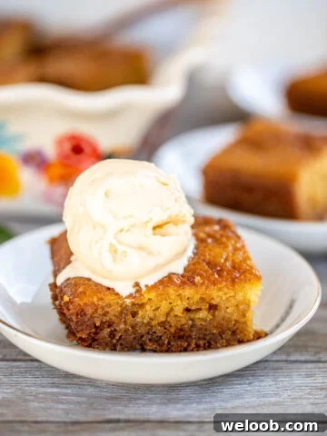 A slice of Malva Pudding topped with a scoop of ice cream.