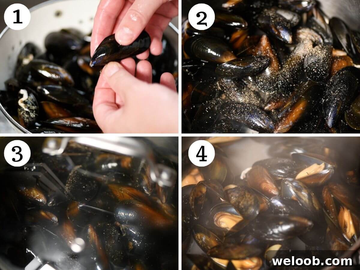 Four photos in a collage showing how to make Italian peppered mussels.