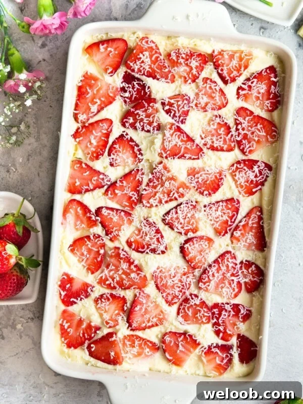 An overhead shot of a strawberry tiramisu