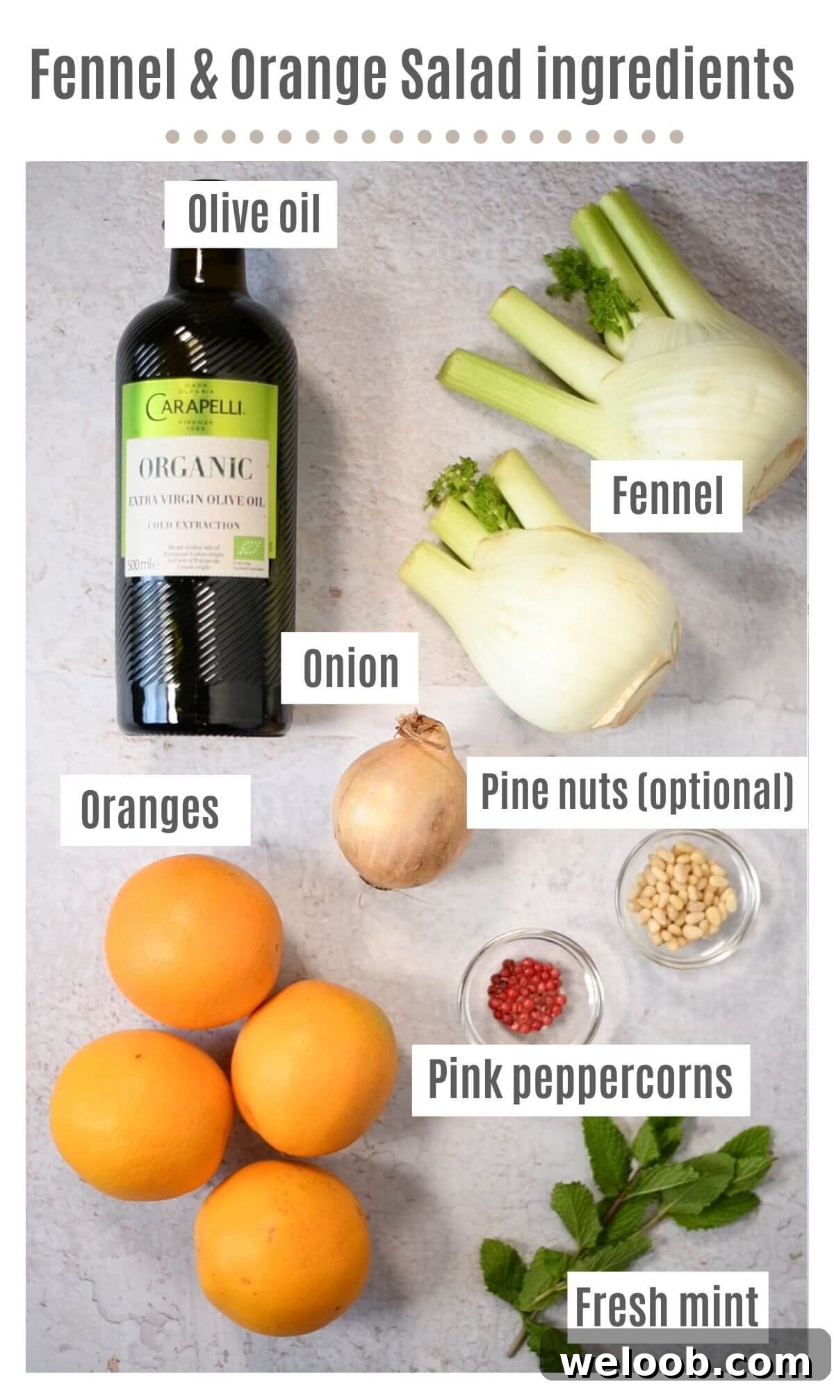 An overhead shot of all the ingredients you need to make a fennel and orange salad.