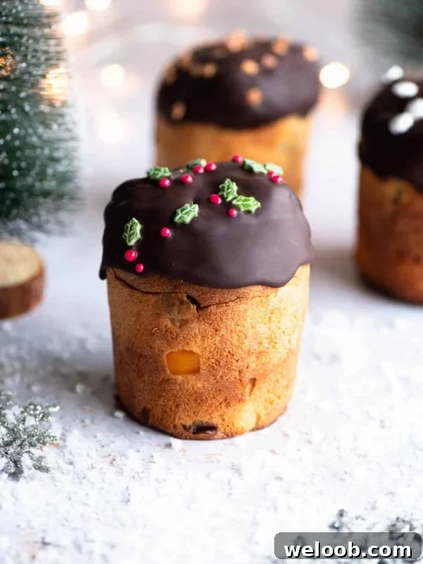 A mini Panettone dipped in melted chocolate sitting on a snowy Christmas themed surface with Christmas trees at the side.