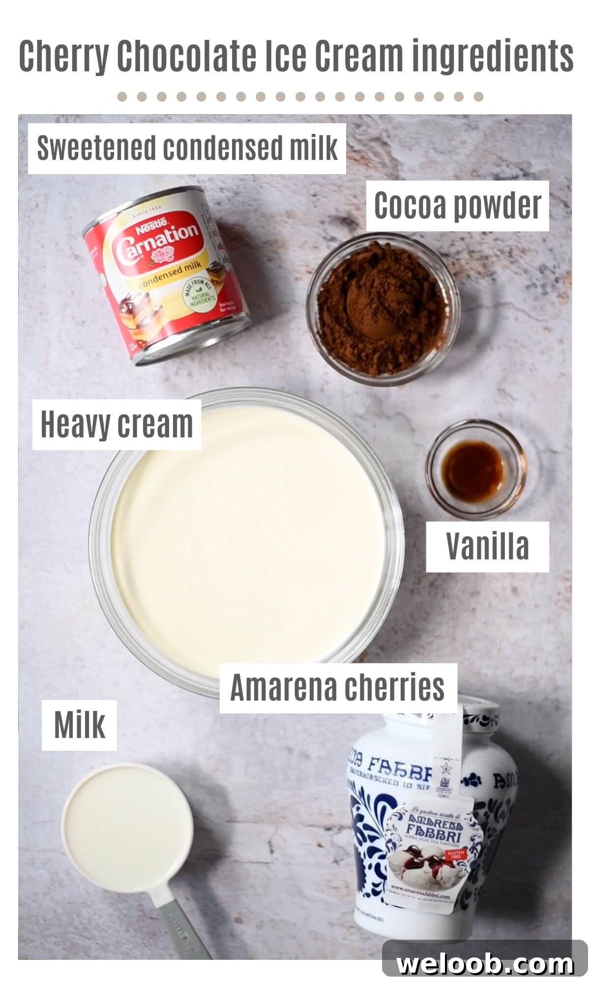 An overhead shot of all the ingredients needed to make no churn cherry chocolate ice cream.