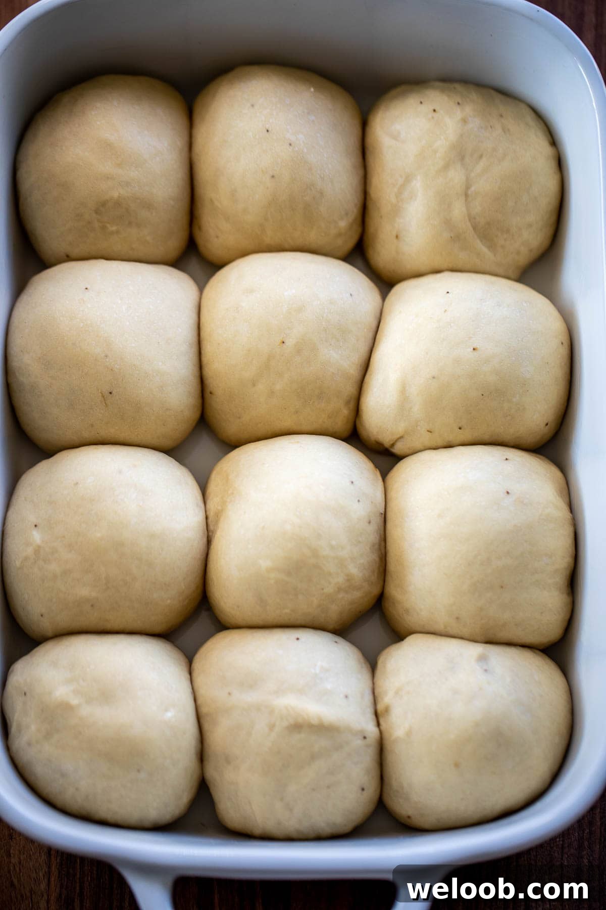 Pan filled with risen rolls