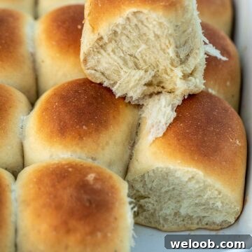 Rolls in a pan with one roll on top to show fluffiness