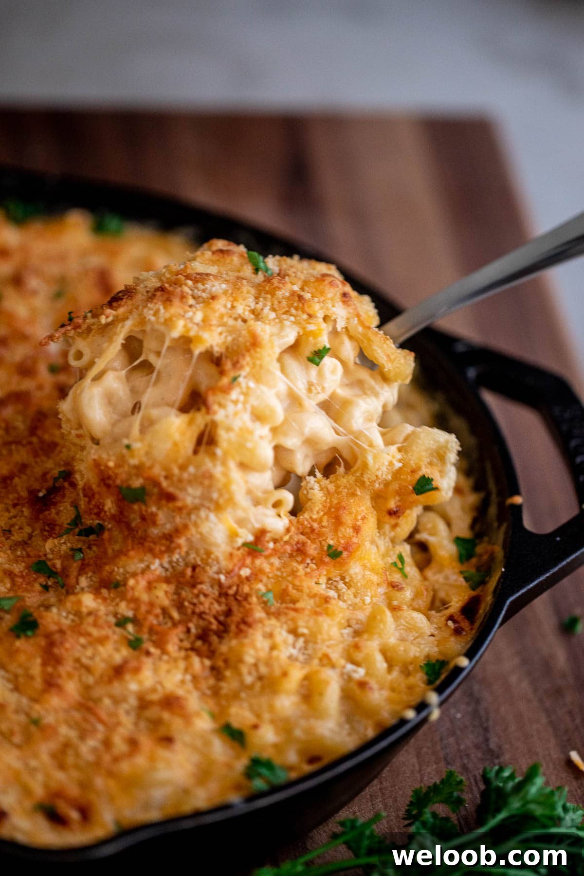 Spoon lifting up creamy mac and cheese from a bowl