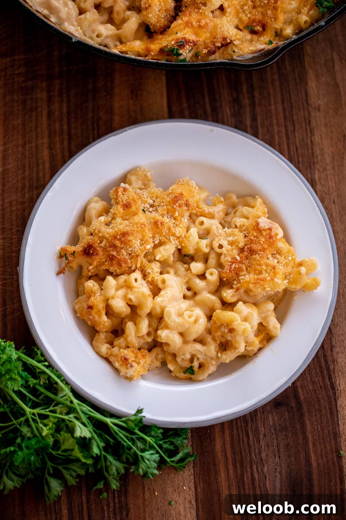 Mac and cheese served in a plate