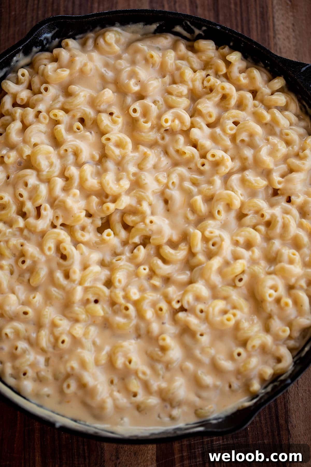 macaroni tossed with cheese sauce