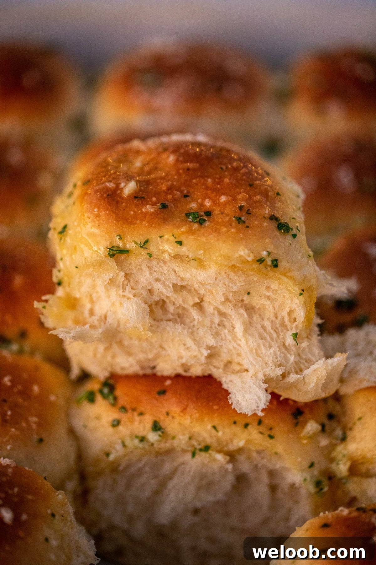 A dinner roll showing soft texture