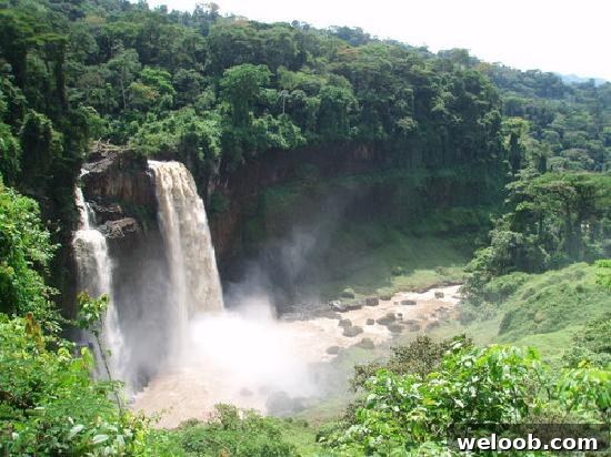 cameroon images
