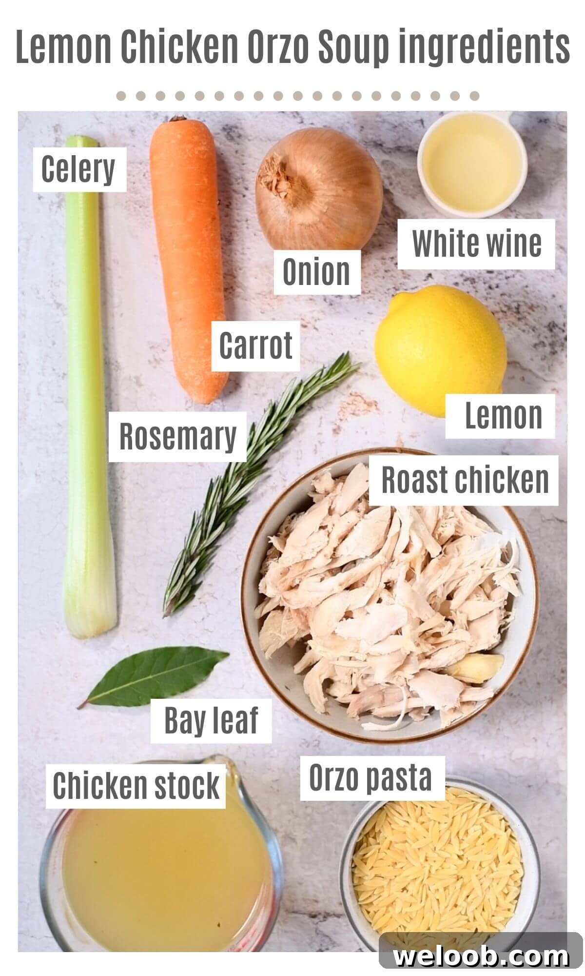 An overhead shot of all the ingredients needed to make lemon chicken orzo soup.