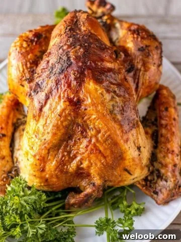 Whole turkey on white platter, garnished with parsley