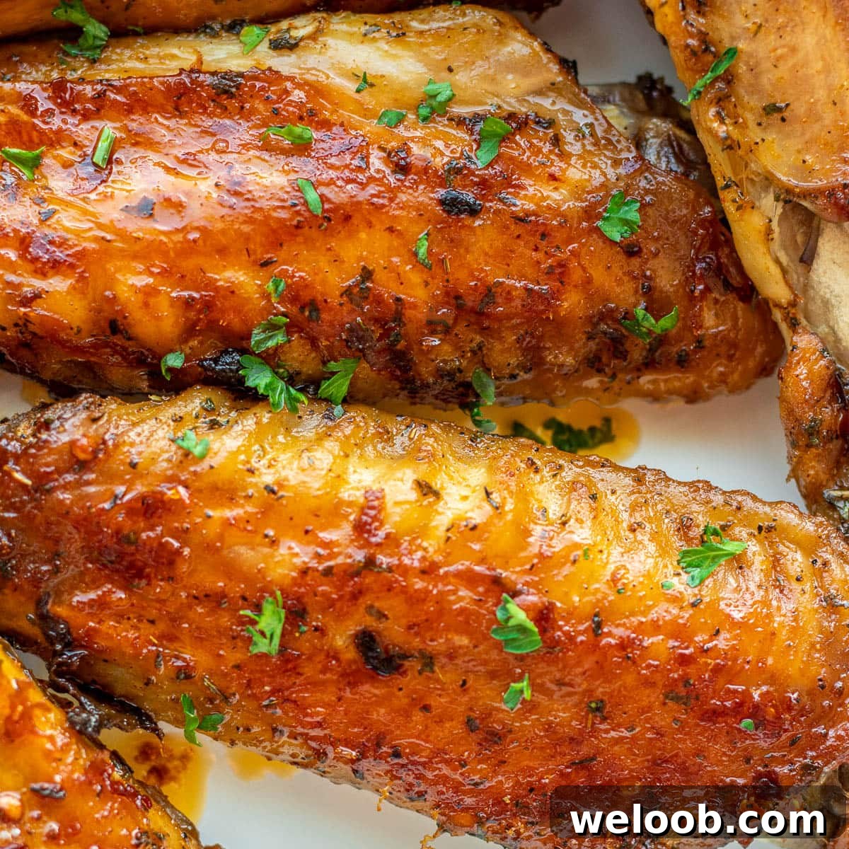 Square image of turkey wings.