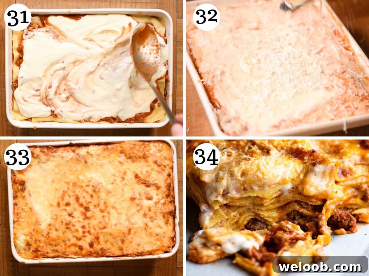 Four photos in a collage showing the final stages of making a lamb lasagna, before and after baking.