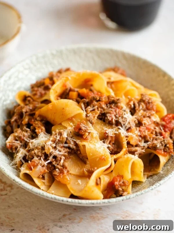 Lamb ragu a pappardelle pasta in a bowl
