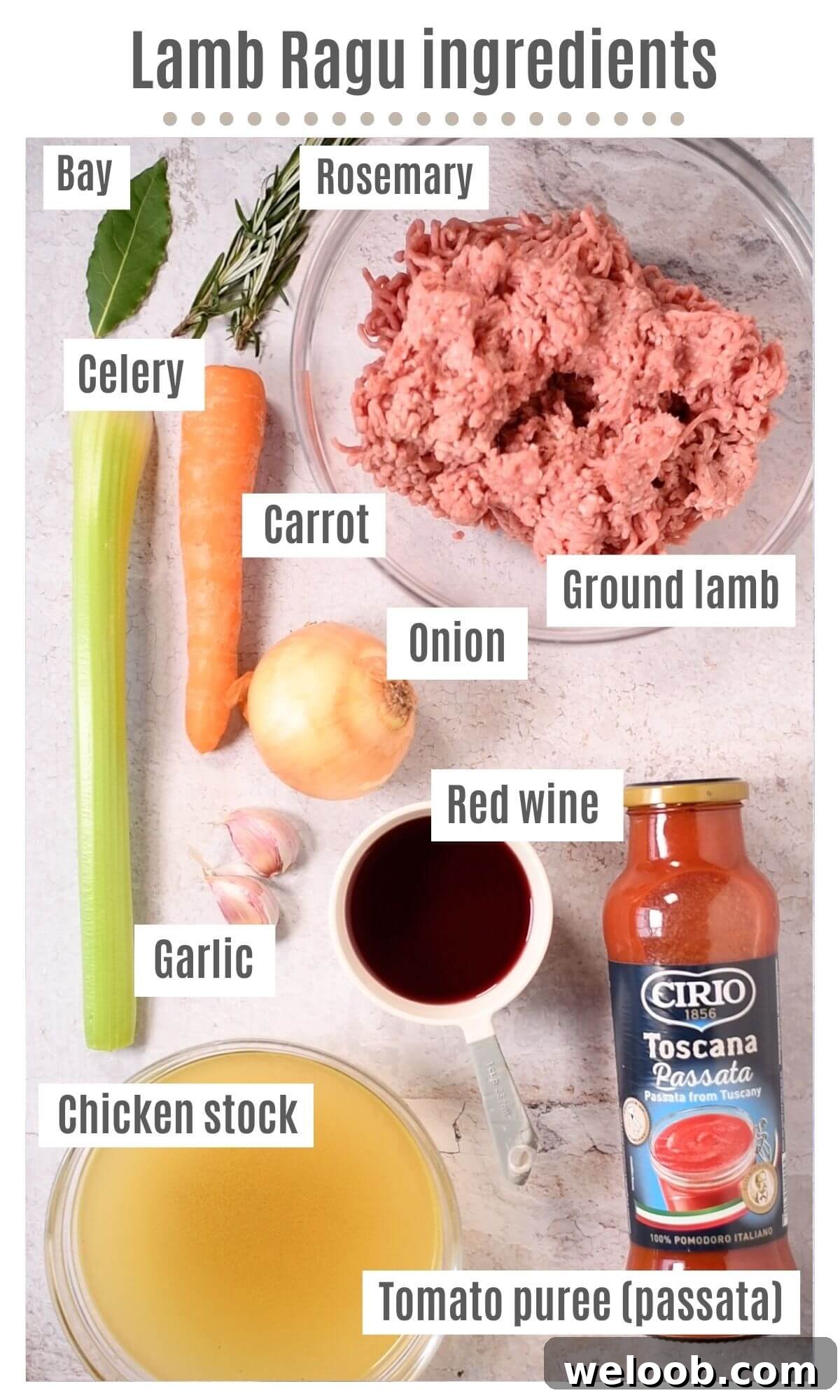 An overhead shot of all the ingredients you need to make a lamb ragu.