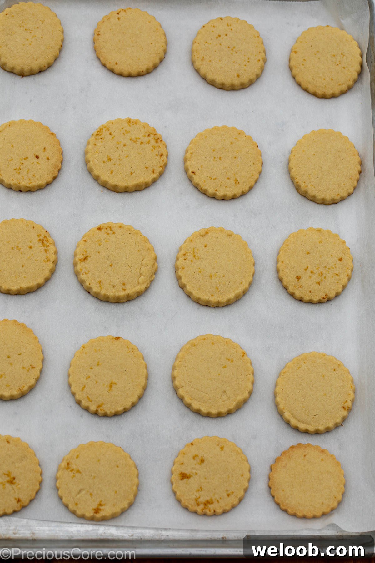 Baked lemon shortbread cookies on baking sheet.