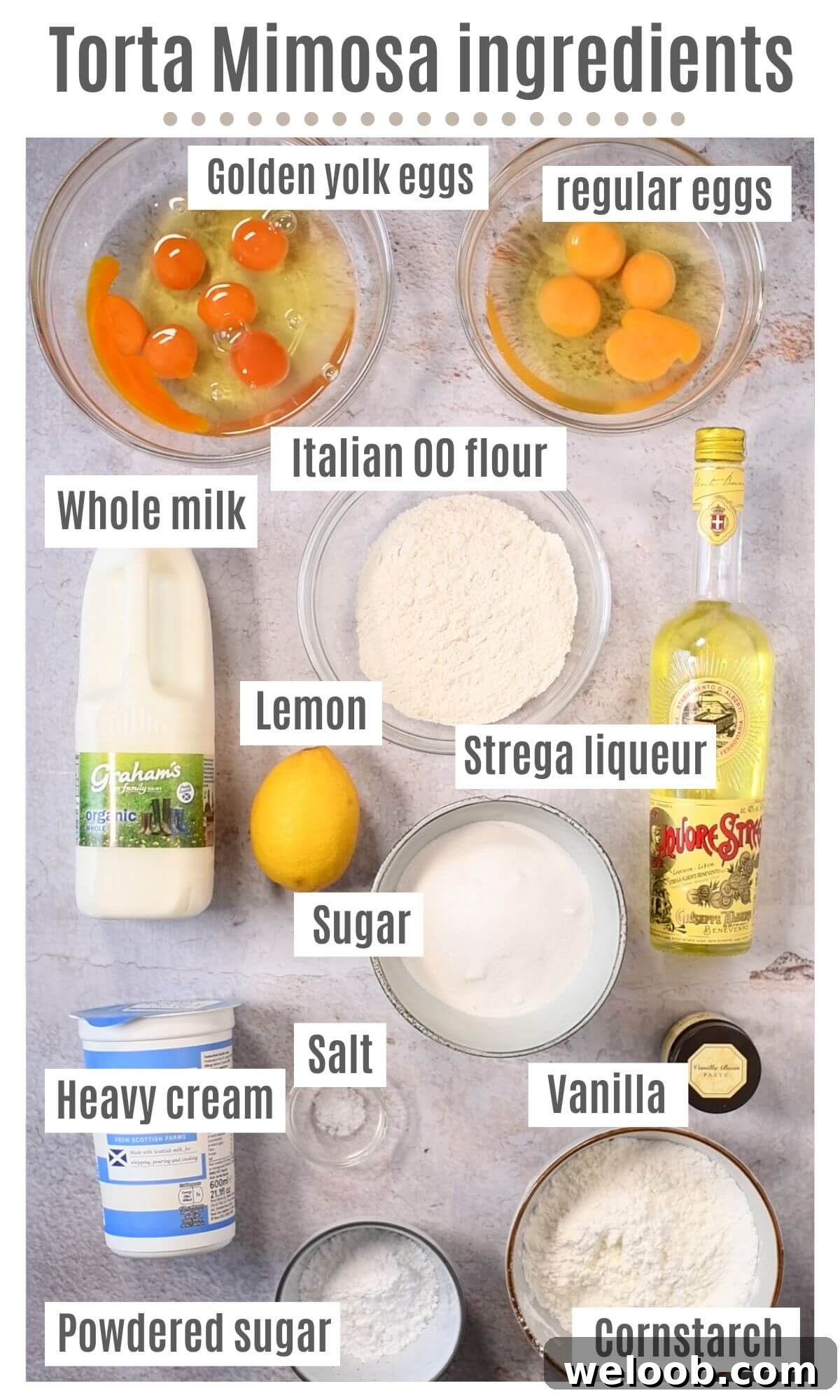 An overhead shot of all the ingredients needed to make an Italian Mimosa Cake.